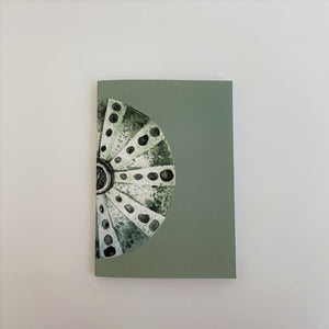 GREEN SEA URCHIN notebook - A5